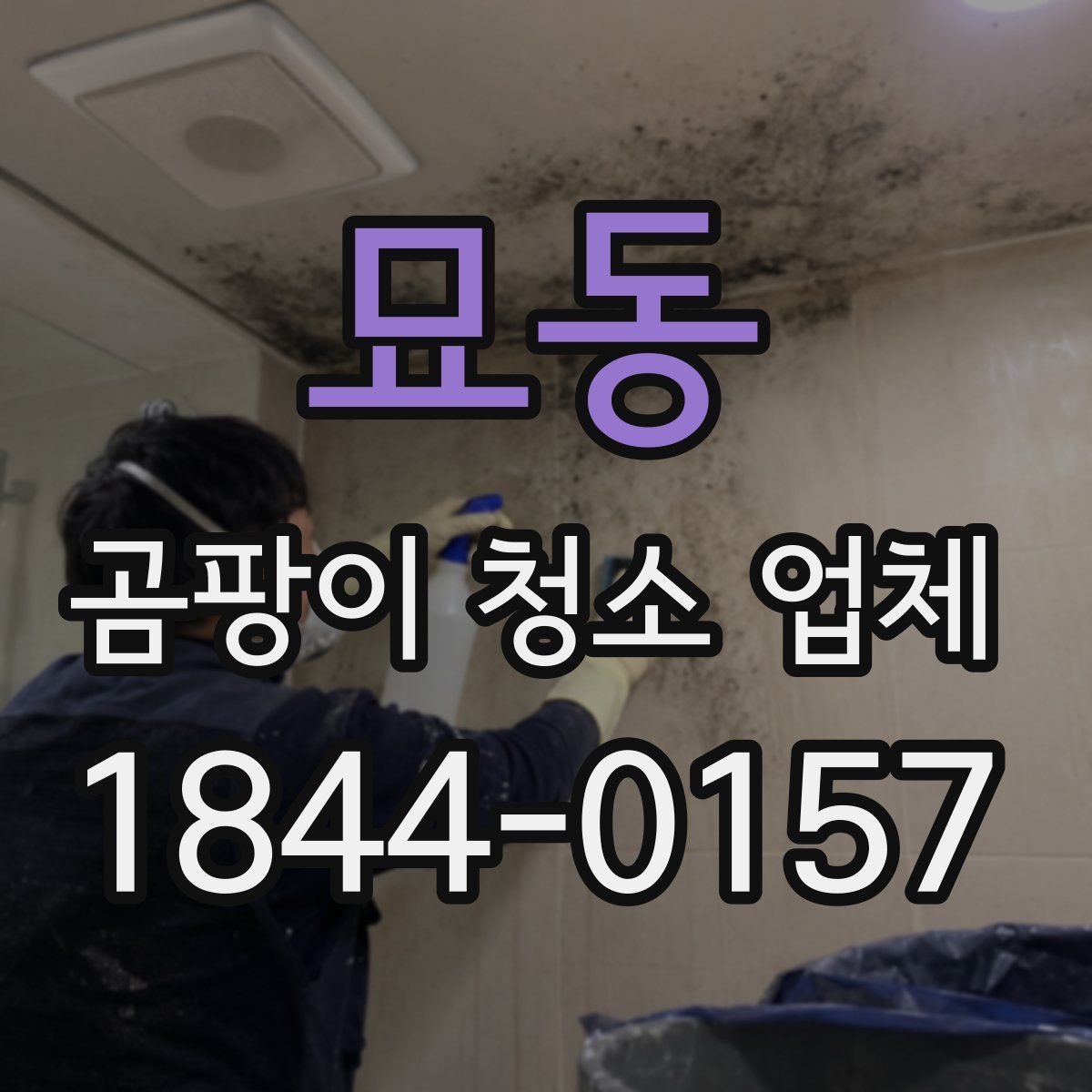 묘동 곰팡이 청소 업체