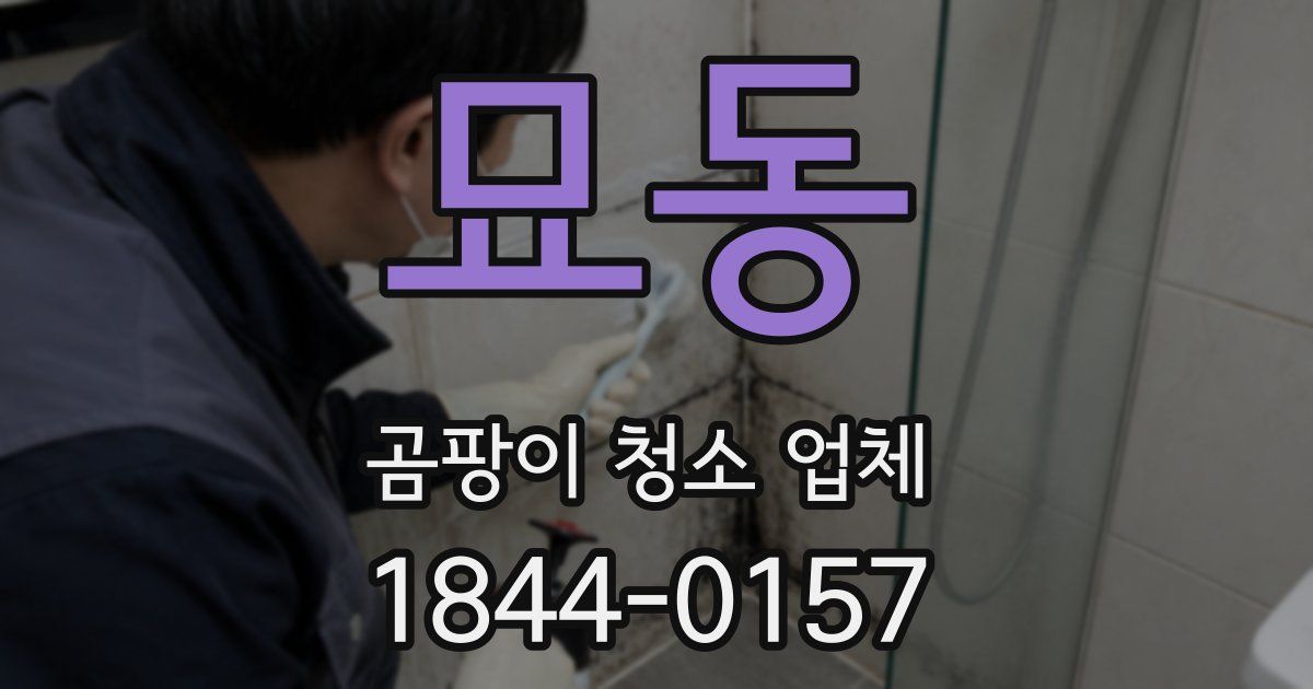 묘동 곰팡이 청소 업체