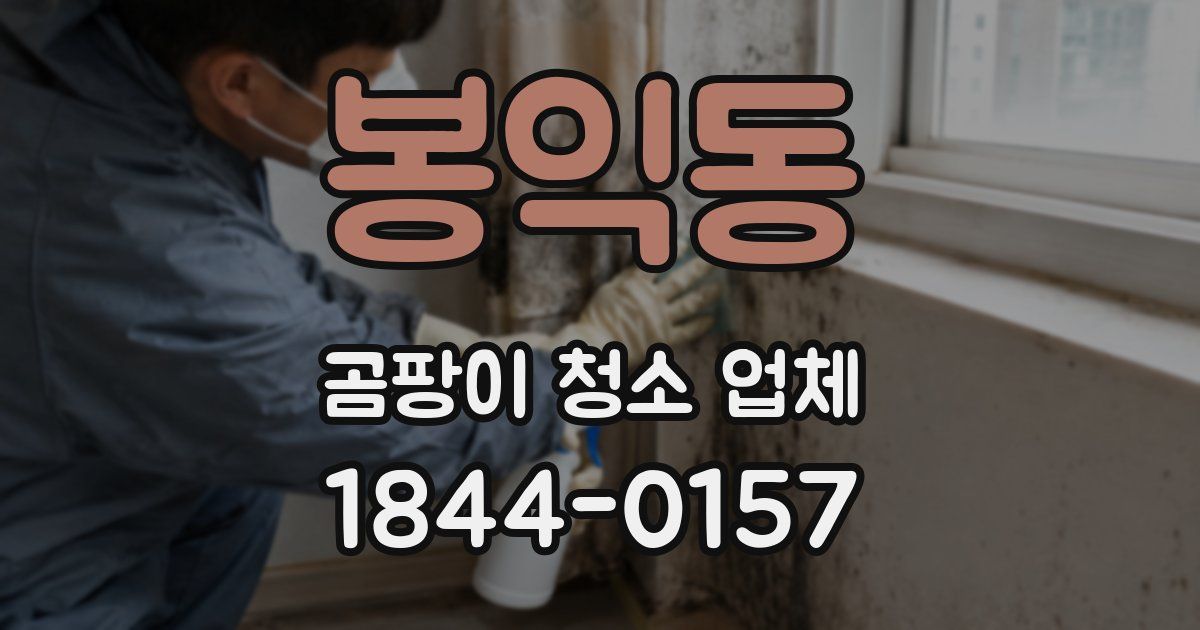 봉익동 곰팡이 청소 업체
