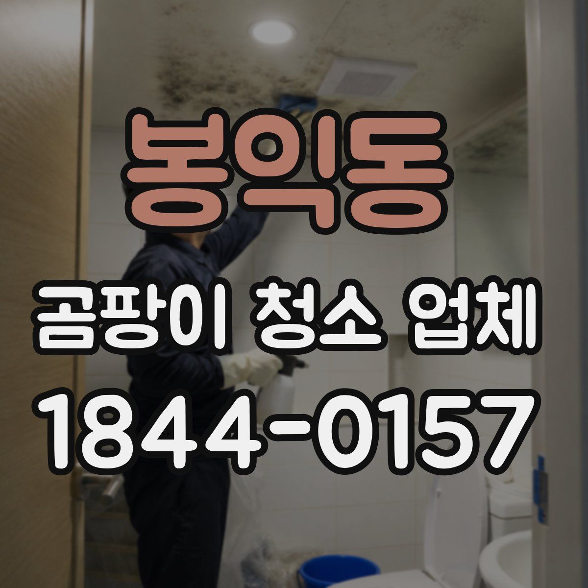 봉익동 곰팡이 청소 업체