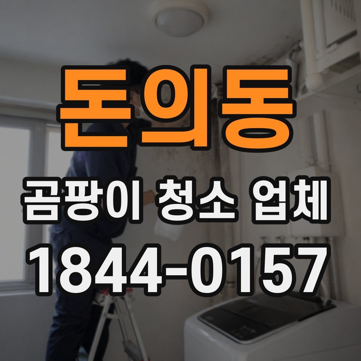 돈의동 곰팡이 청소 업체 영유아 가정이 특히 주의해야 할 작업 범위