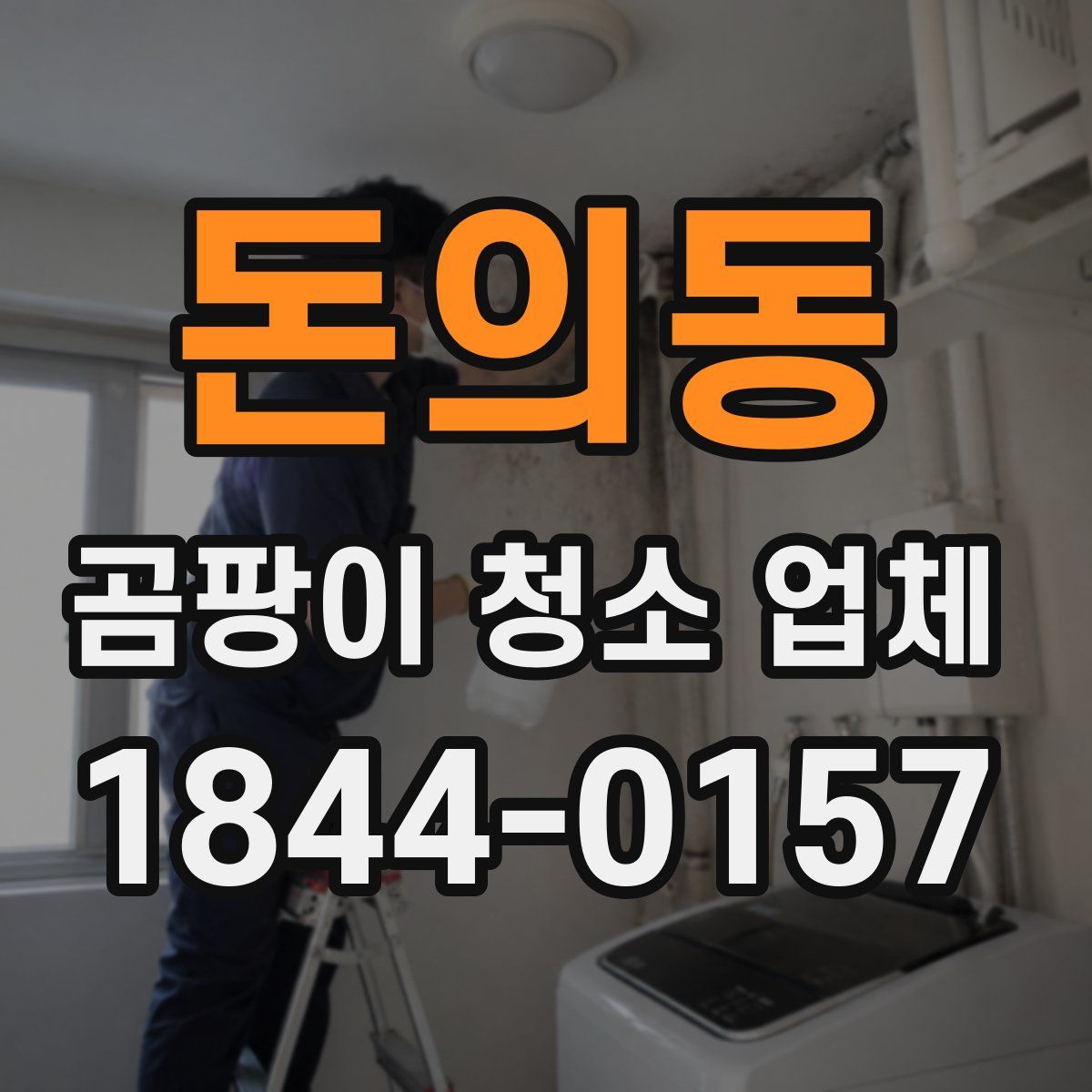 돈의동 곰팡이 청소 업체