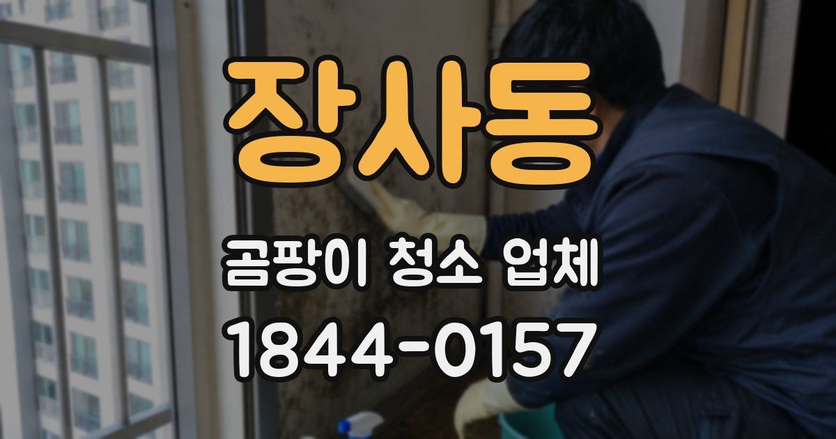 장사동 곰팡이 청소 업체