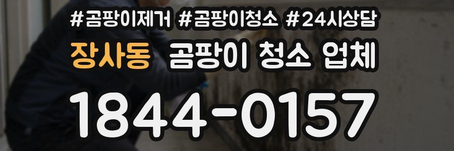 장사동 곰팡이 청소 업체