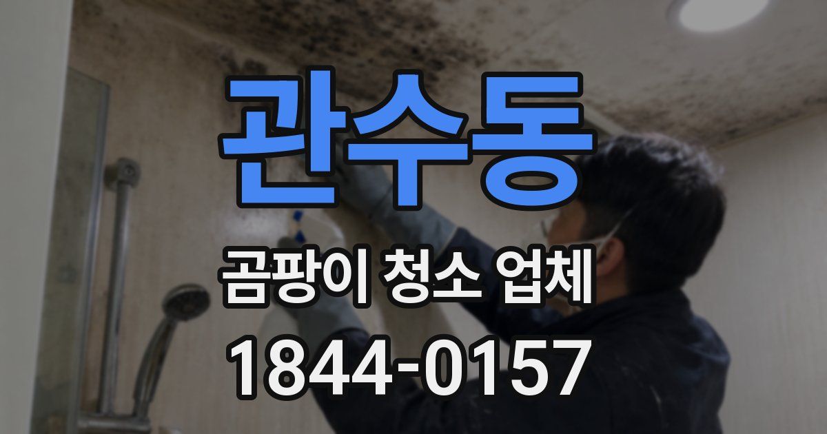 관수동 곰팡이 청소 업체