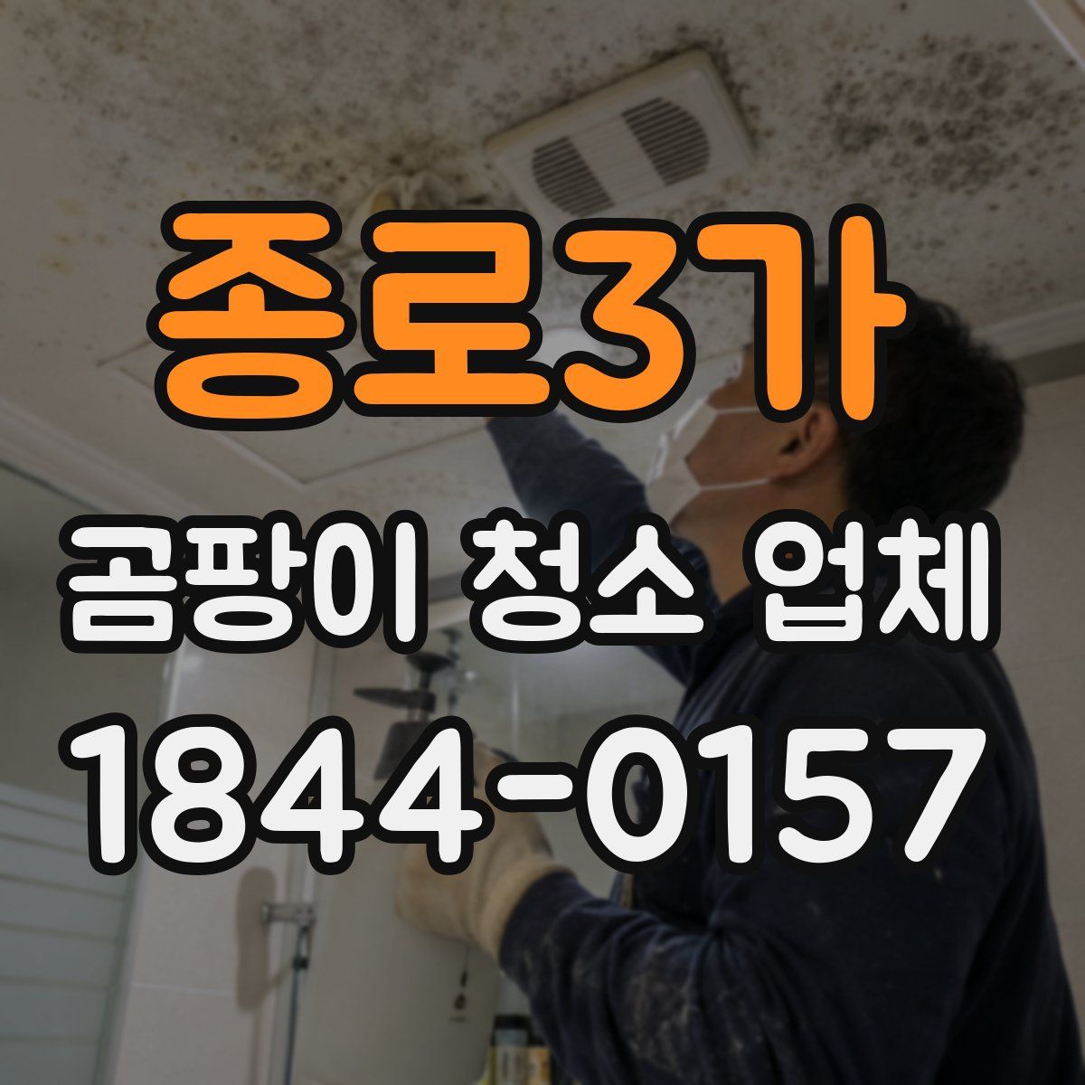 종로3가 곰팡이 청소 업체