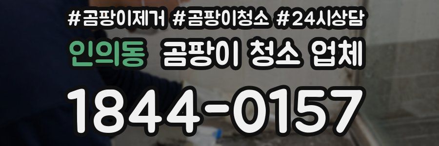 인의동 곰팡이 청소 업체