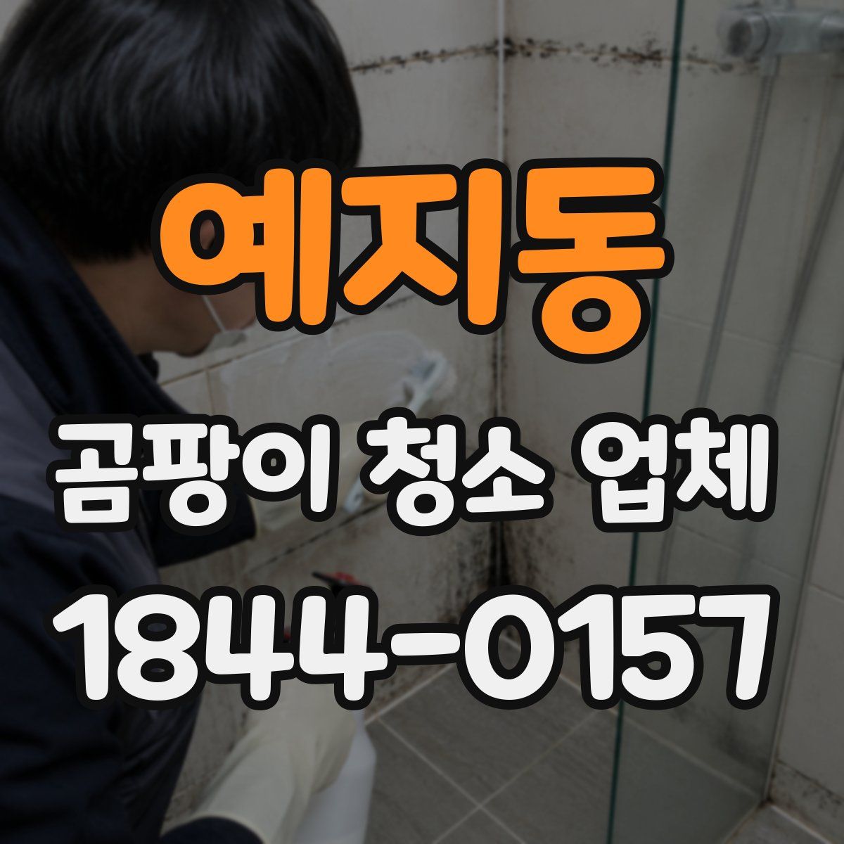 예지동 곰팡이 청소 업체