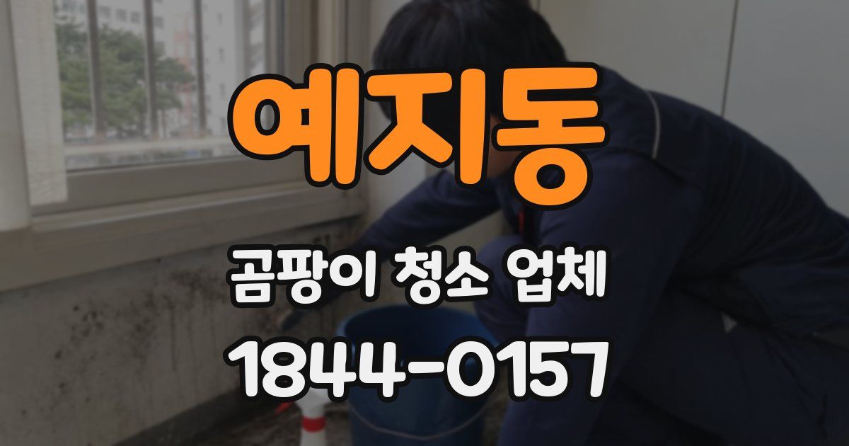 예지동 곰팡이 청소 업체