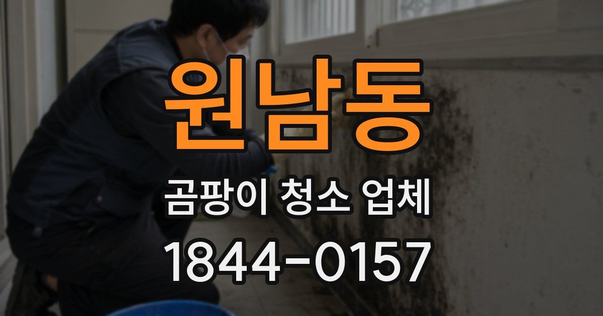 원남동 곰팡이 청소 업체