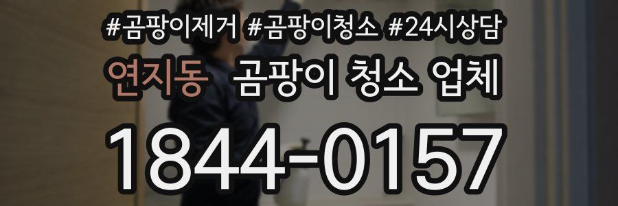 연지동 곰팡이 청소 업체