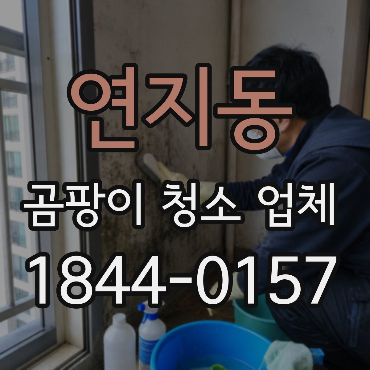 연지동 곰팡이 청소 업체