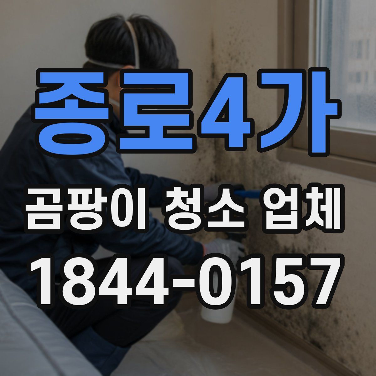 종로4가 곰팡이 청소 업체