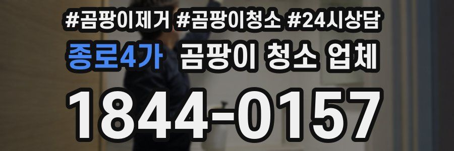 종로4가 곰팡이 청소 업체
