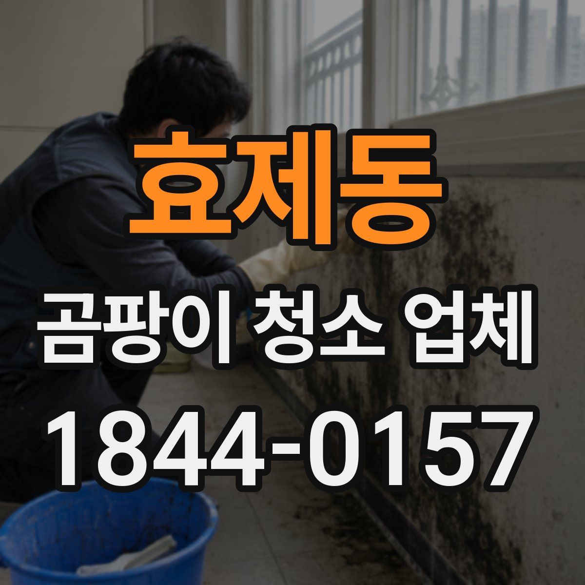 효제동 곰팡이 청소 업체