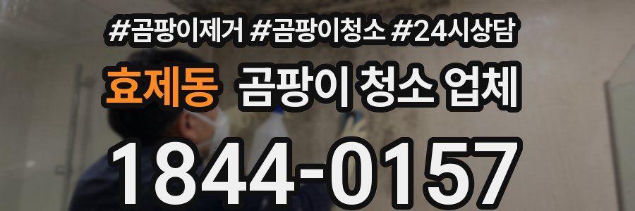 효제동 곰팡이 청소 업체