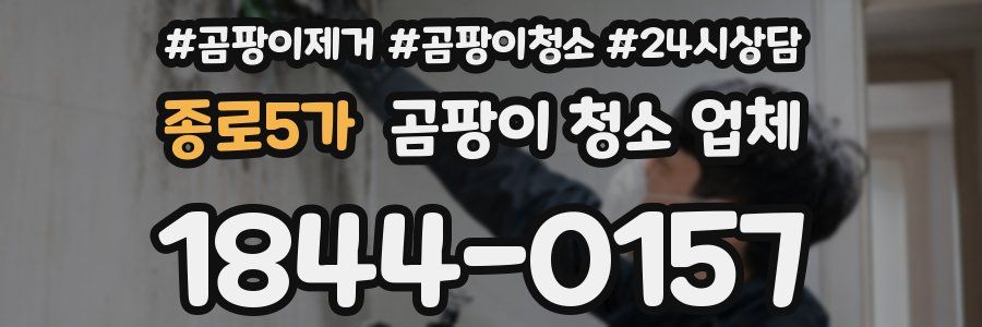 종로5가 곰팡이 청소 업체