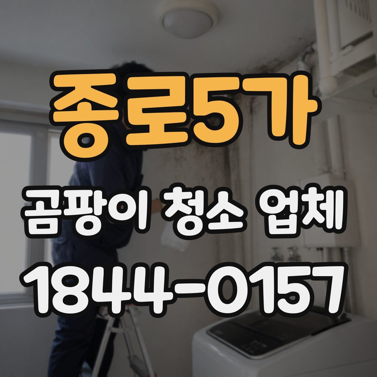 종로5가 곰팡이 청소 업체