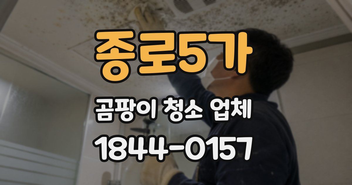 종로5가 곰팡이 청소 업체