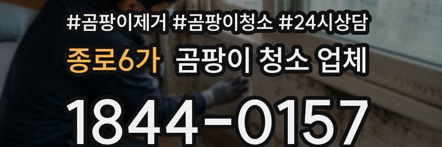 종로6가 곰팡이 청소 업체