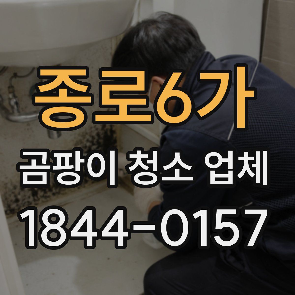 종로6가 곰팡이 청소 업체