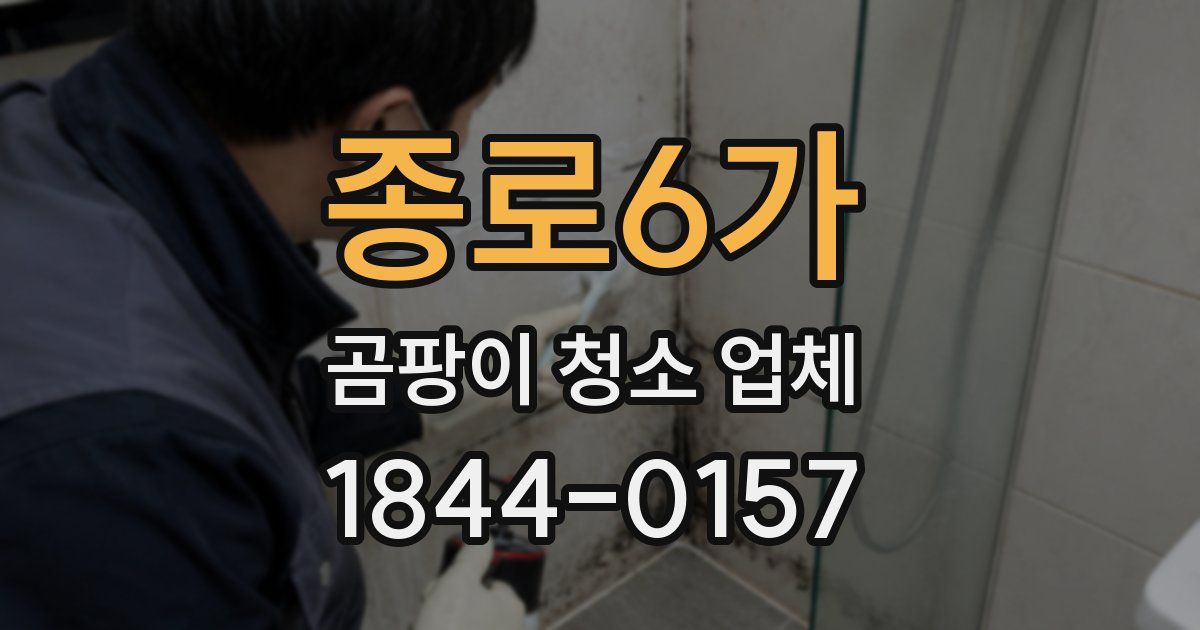 종로6가 곰팡이 청소 업체