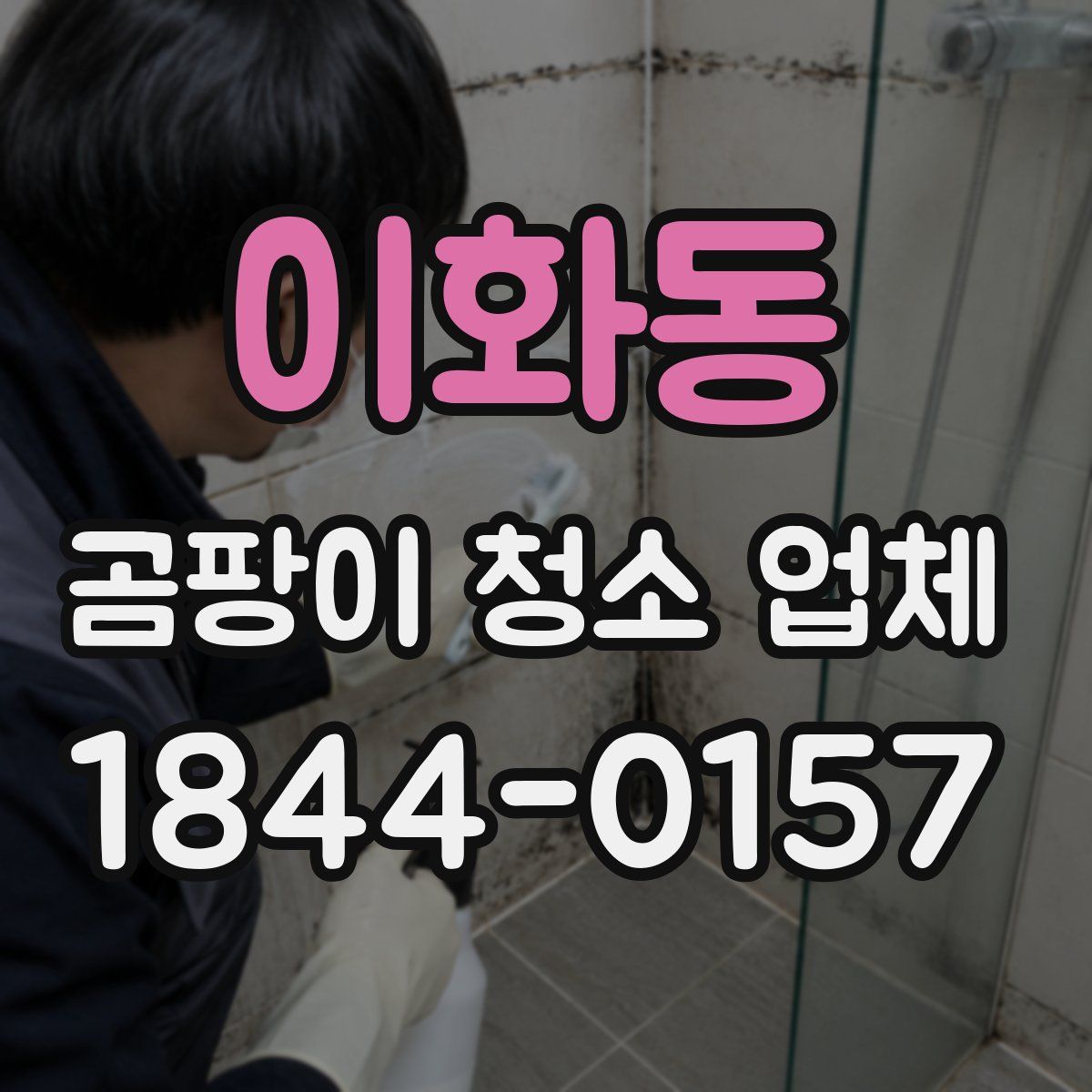 이화동 곰팡이 청소 업체