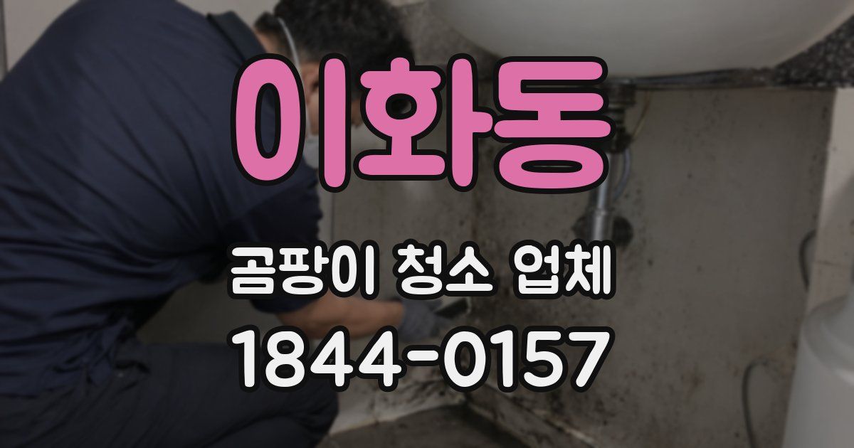 이화동 곰팡이 청소 업체