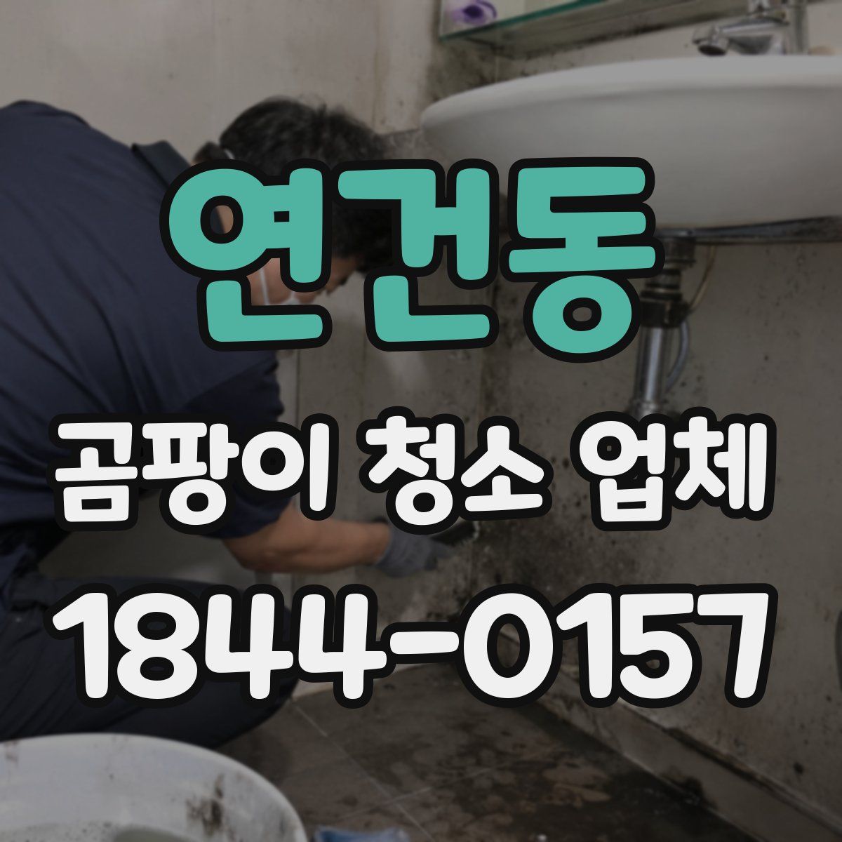 연건동 곰팡이 청소 업체