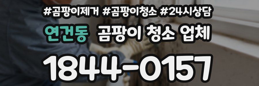 연건동 곰팡이 청소 업체