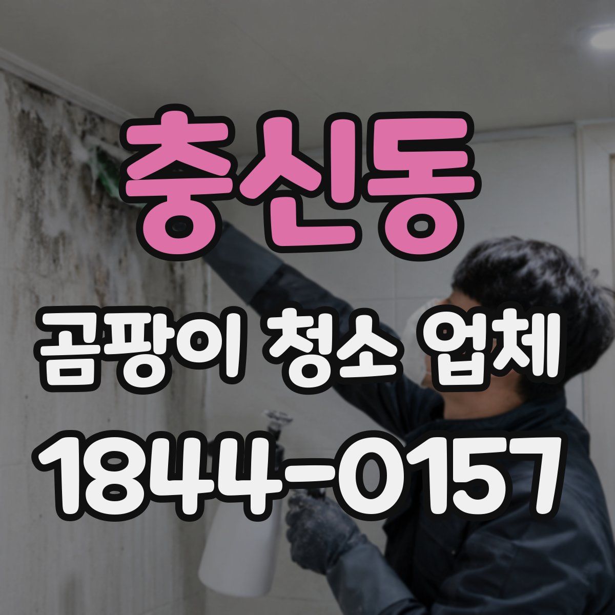 충신동 곰팡이 청소 업체