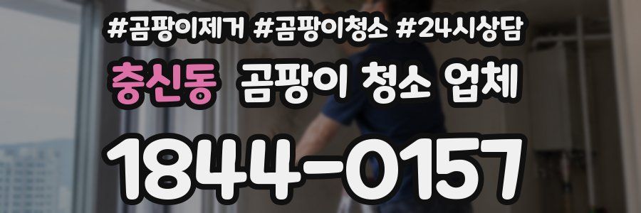 충신동 곰팡이 청소 업체