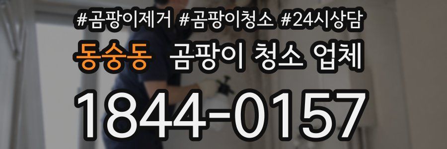 동숭동 곰팡이 청소 업체