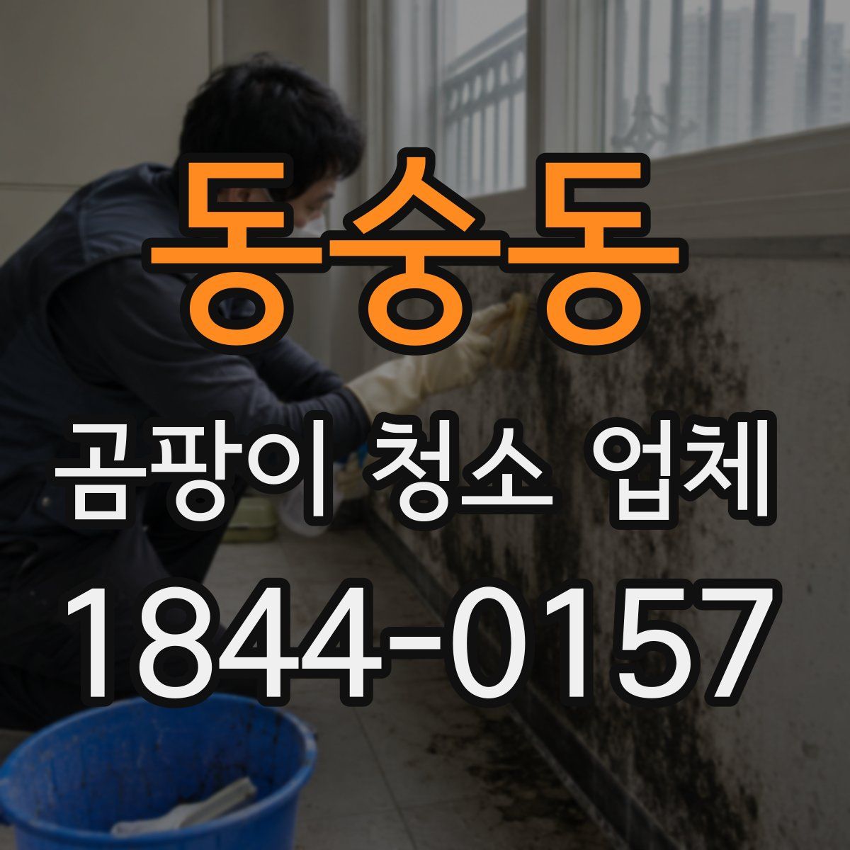 동숭동 곰팡이 청소 업체