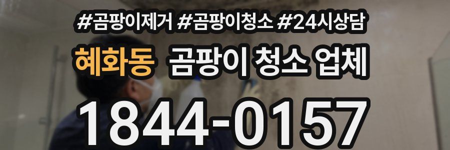 혜화동 곰팡이 청소 업체
