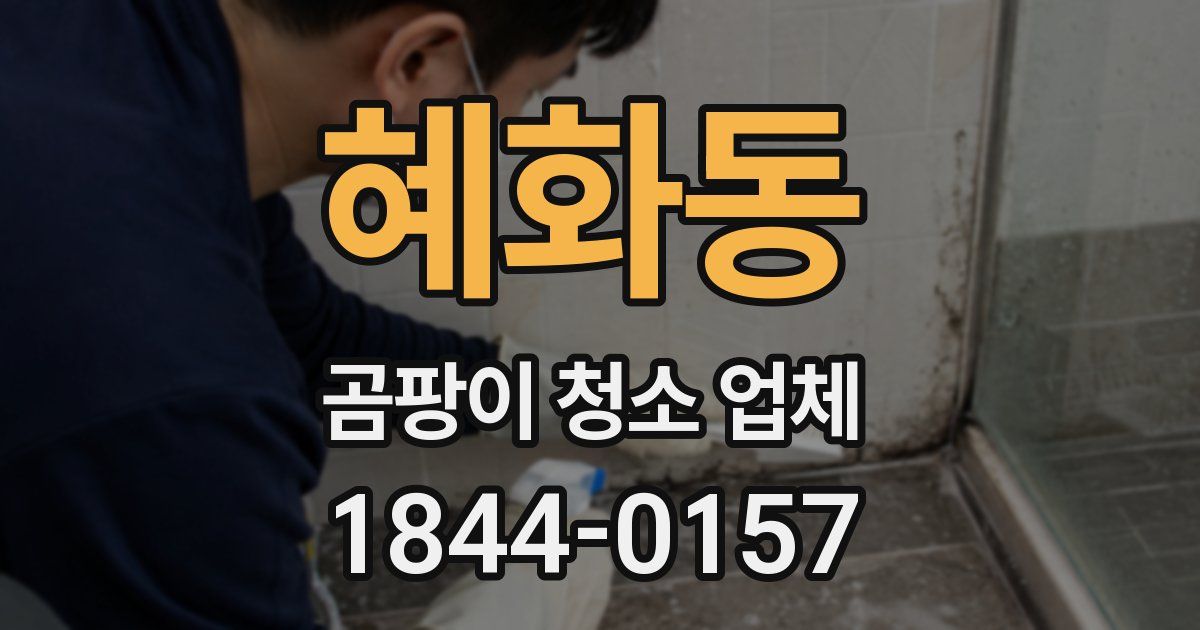 혜화동 곰팡이 청소 업체