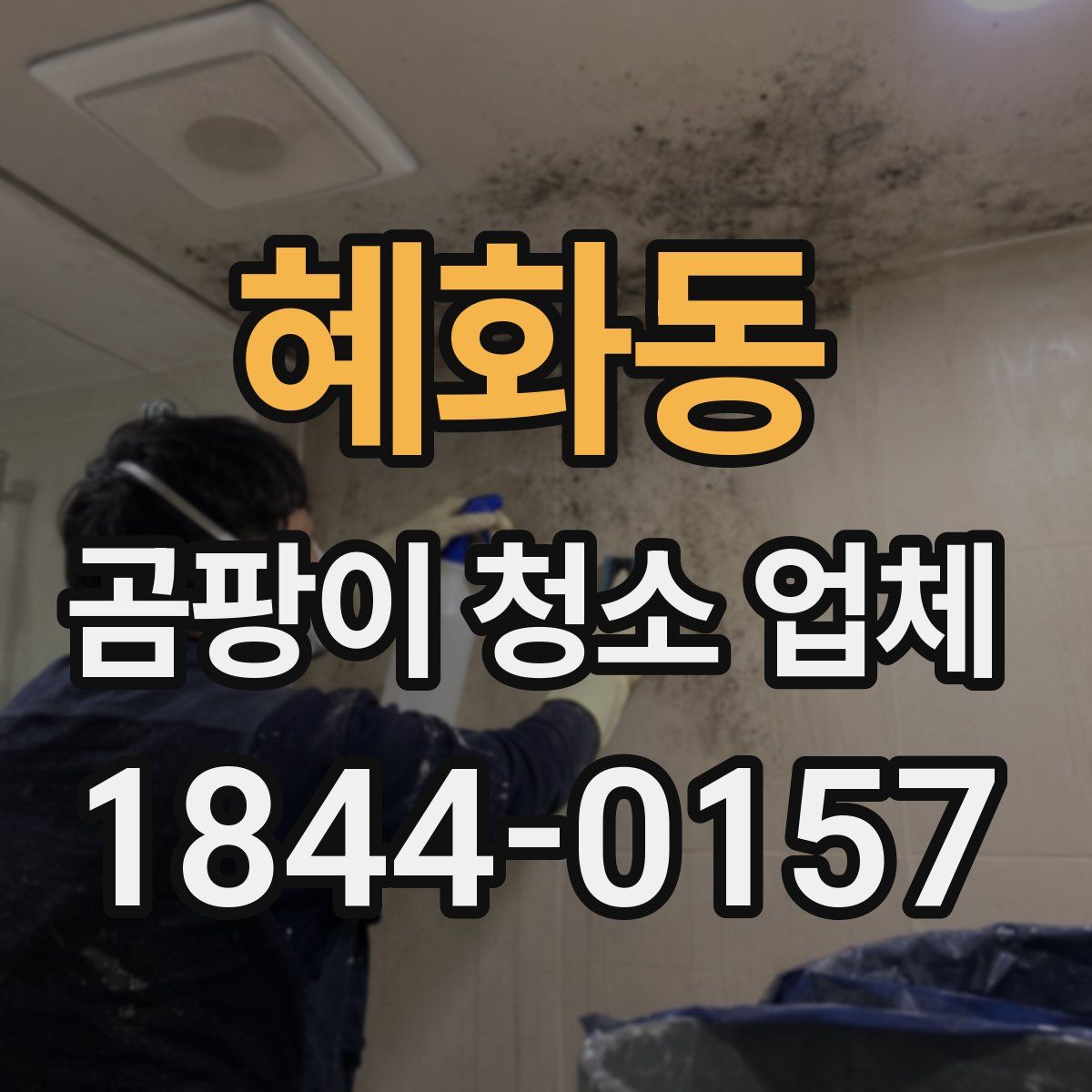 혜화동 곰팡이 청소 업체