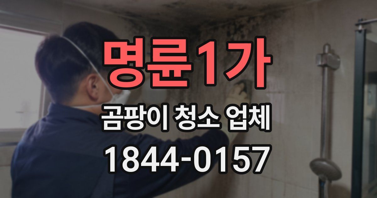 명륜1가 곰팡이 청소 업체