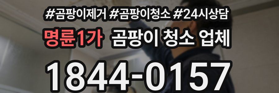 명륜1가 곰팡이 청소 업체