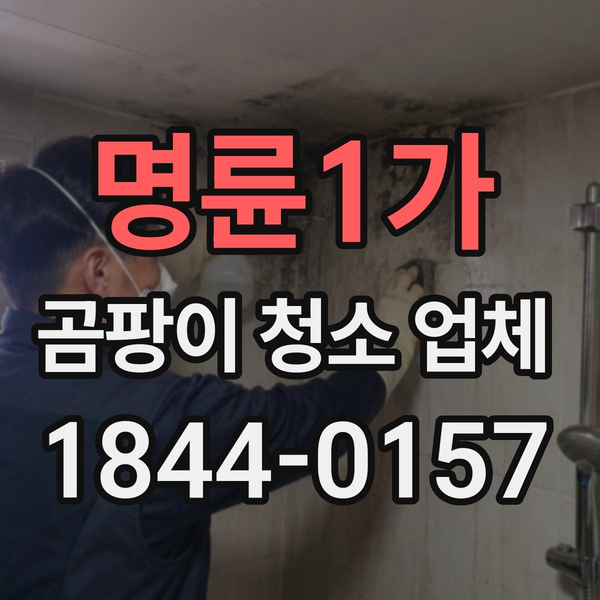 명륜1가 곰팡이 청소 업체