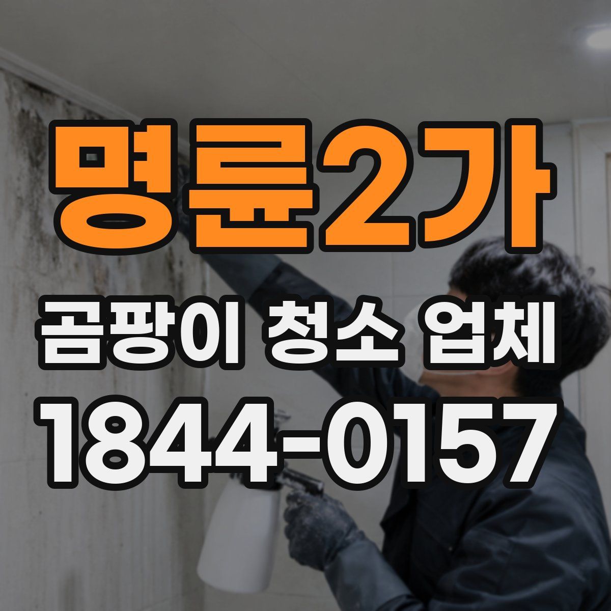 명륜2가 곰팡이 청소 업체