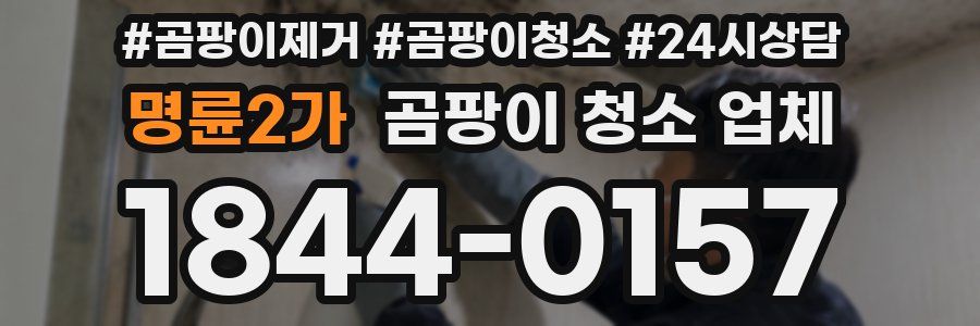 명륜2가 곰팡이 청소 업체