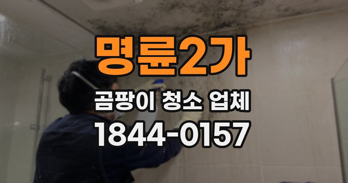 명륜2가 곰팡이 청소 업체