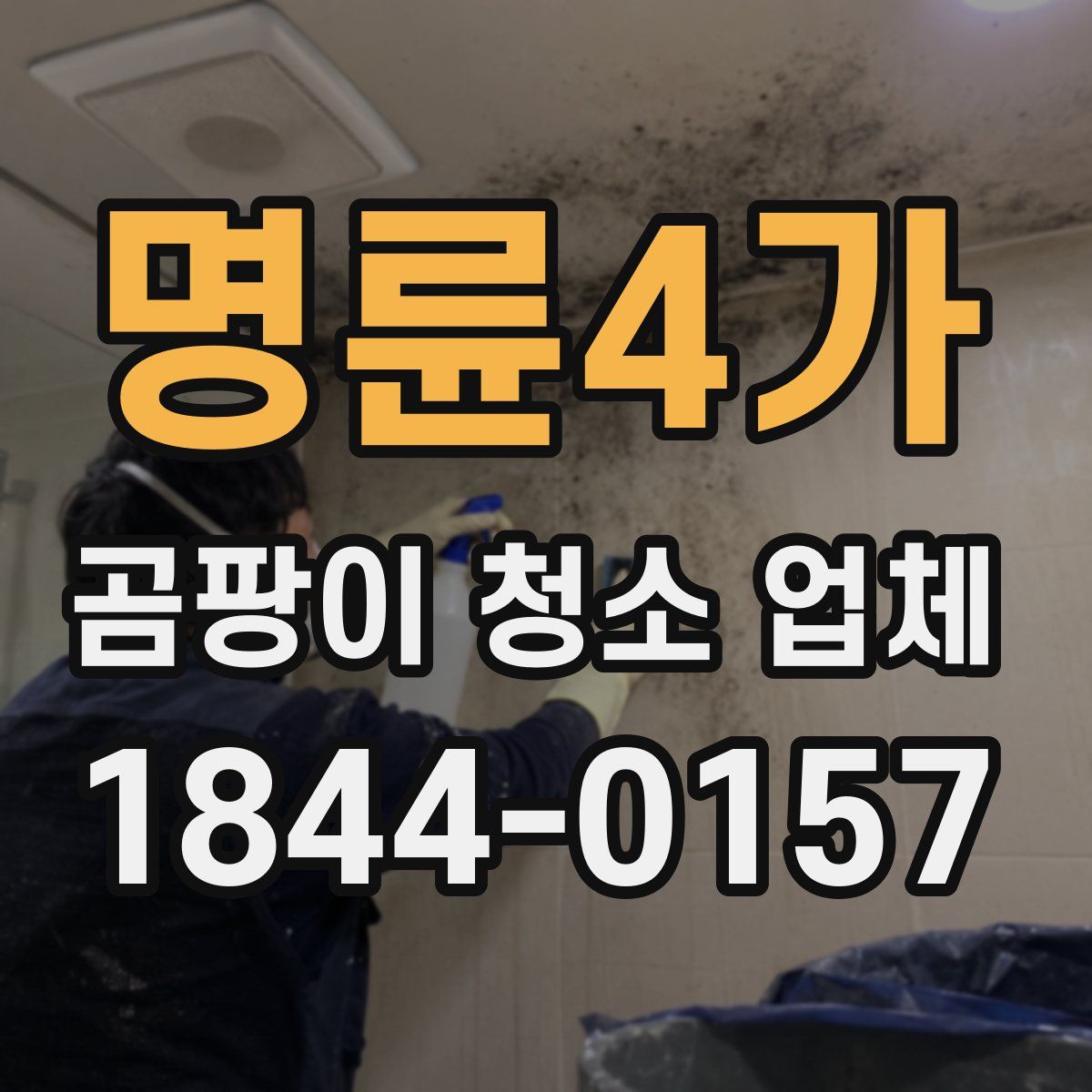 명륜4가 곰팡이 청소 업체