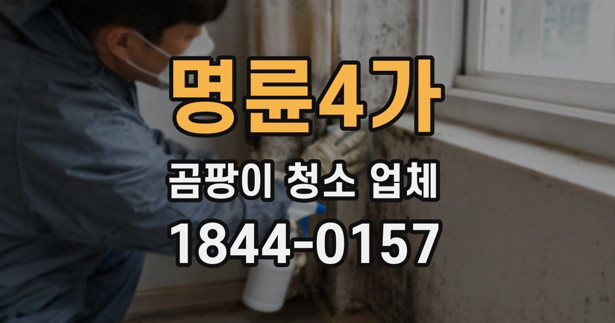 명륜4가 곰팡이 청소 업체