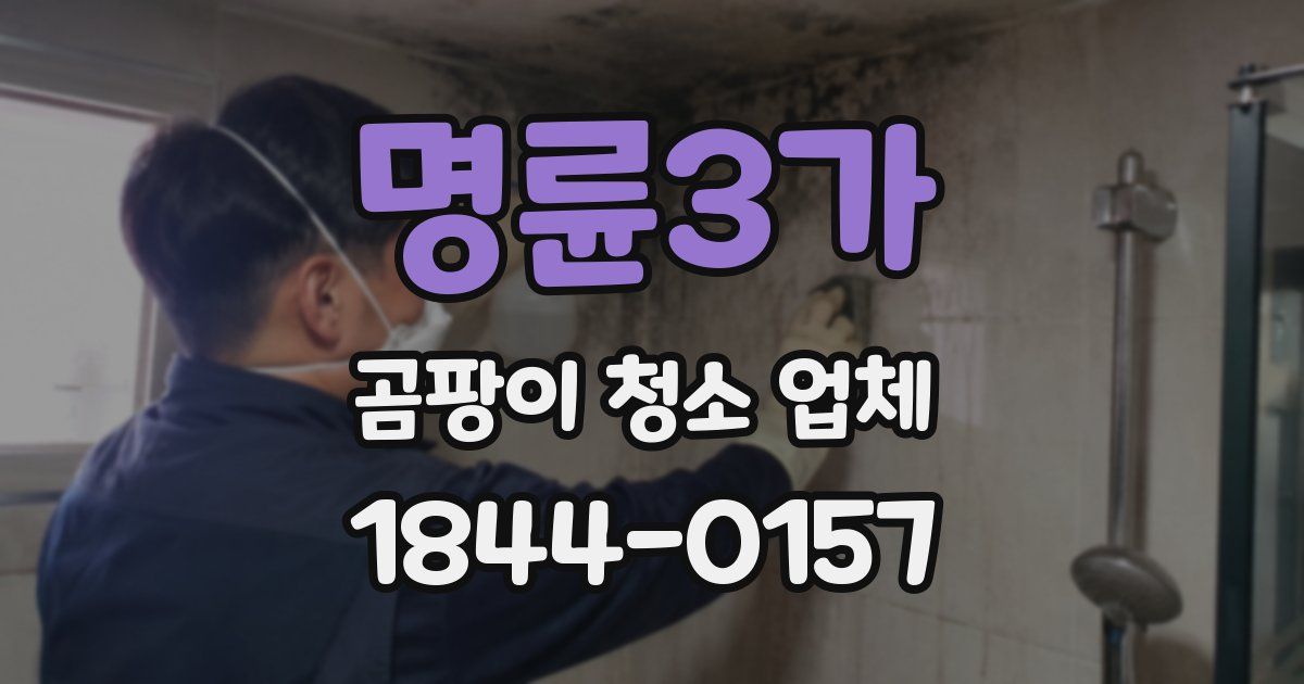 명륜3가 곰팡이 청소 업체