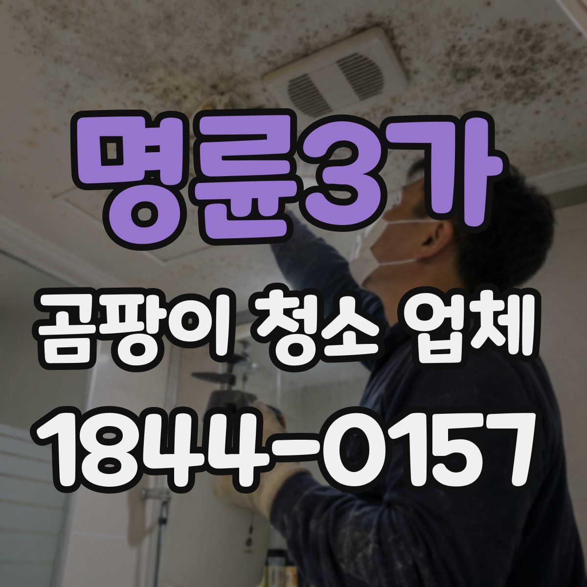 명륜3가 곰팡이 청소 업체