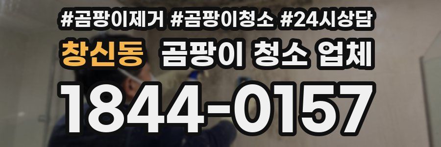창신동 곰팡이 청소 업체