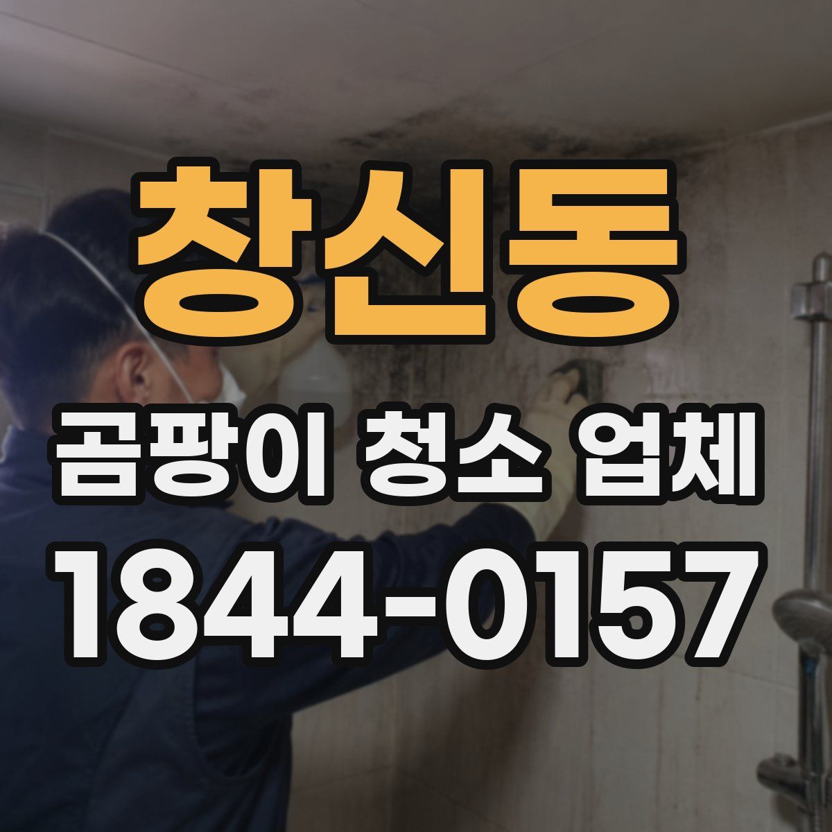 창신동 곰팡이 청소 업체