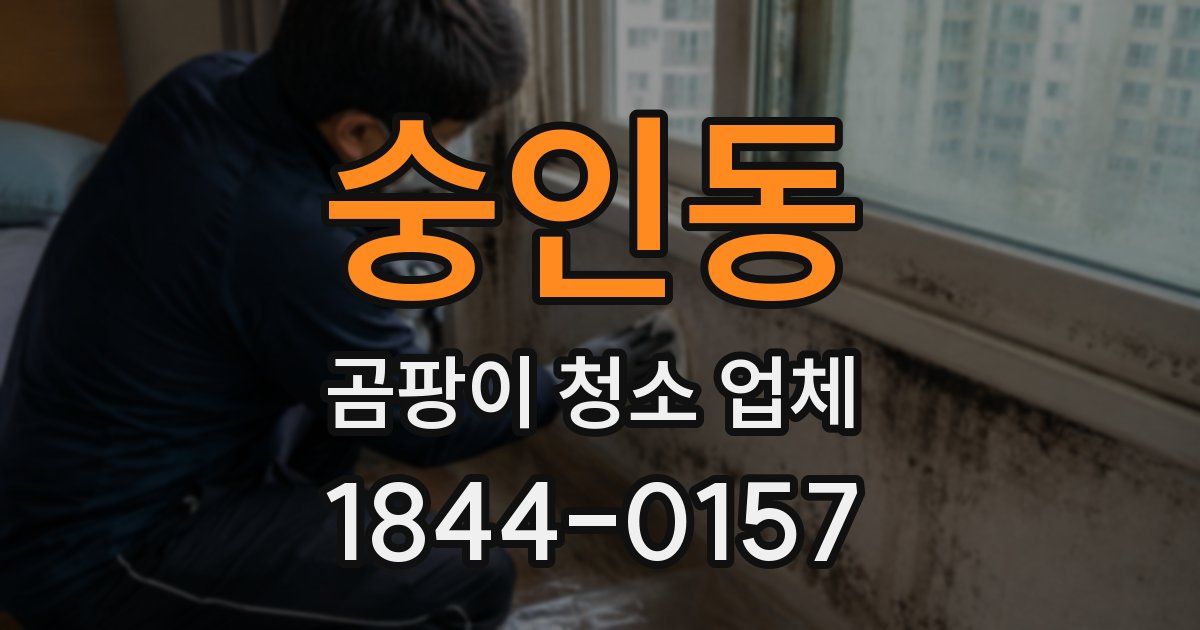 숭인동 곰팡이 청소 업체